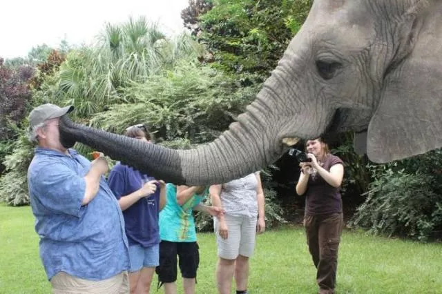 Picdump 394 - #26 