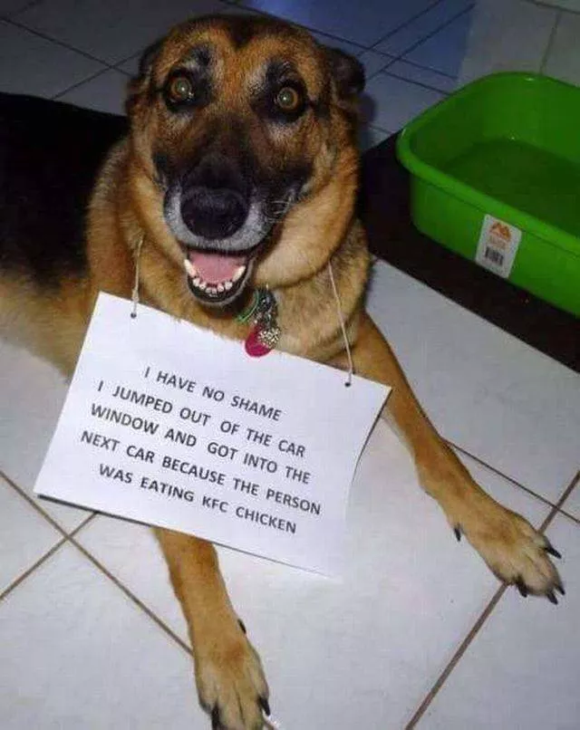 Picdump 394 - #3 