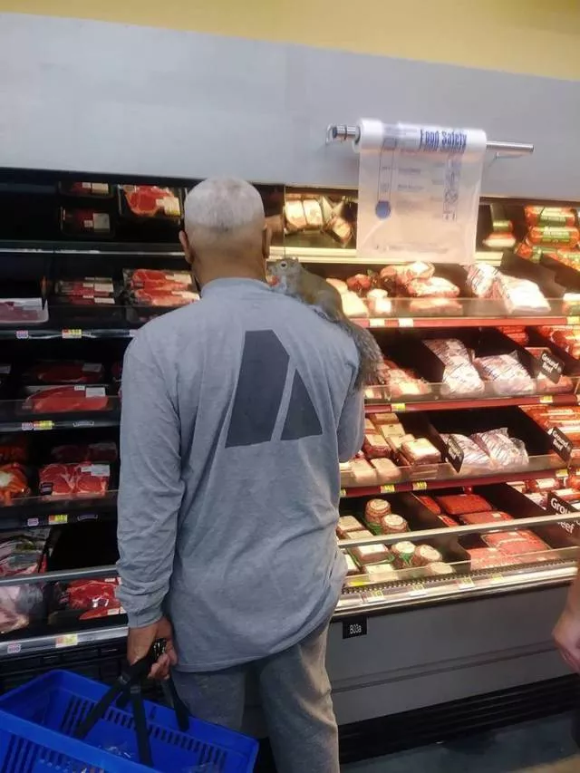 Picdump 394 - #31 