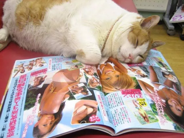 Picdump 394 - #34 