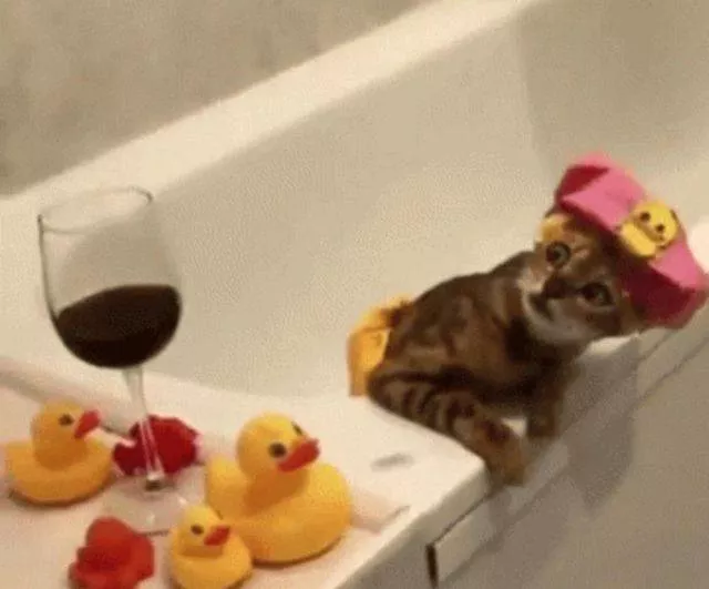 Picdump 394 - #35 