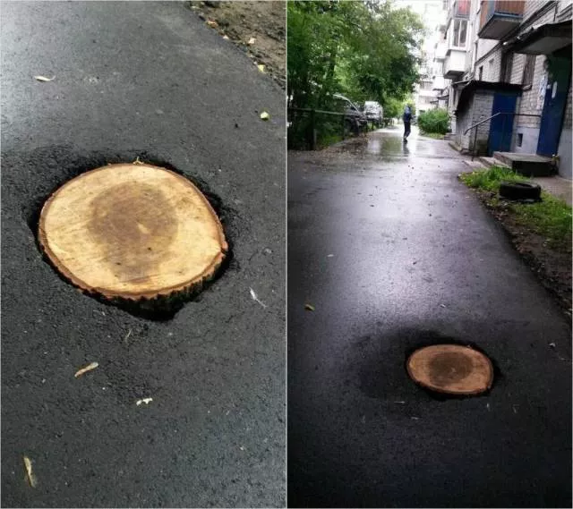 Picdump 394 - #67 