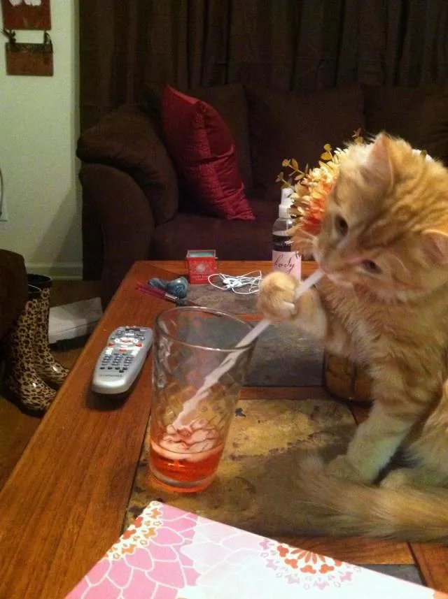 Picdump 394 - #68 