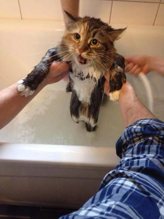 Picdump 394 - #72 