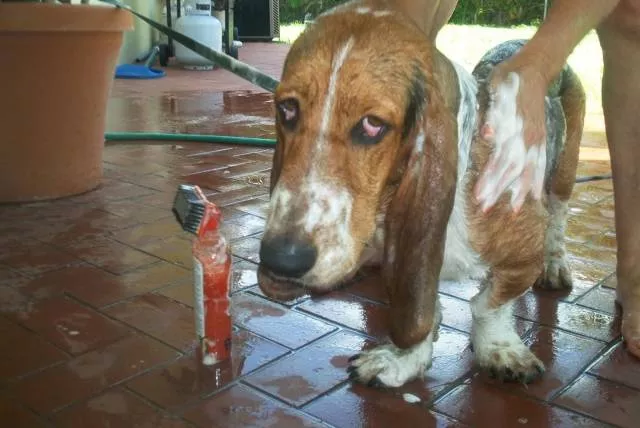 Picdump 394 - #90 Picdump 394 - #90