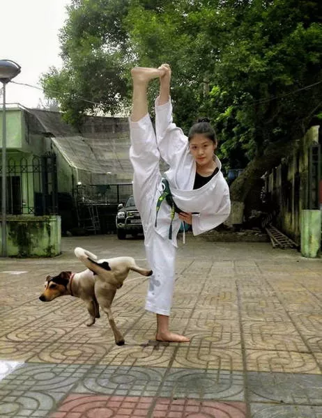 Weird things that only happen in asia - #17 