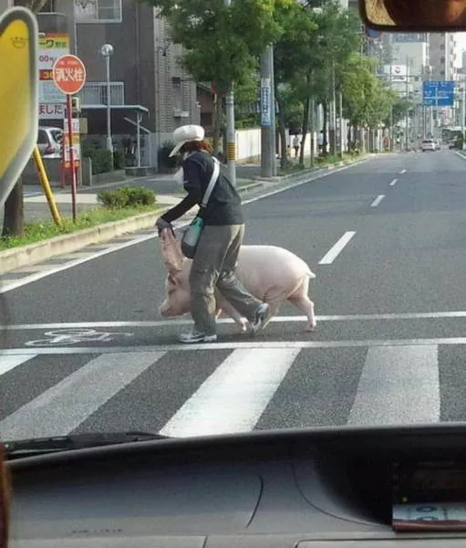 Weird things that only happen in asia - #24 