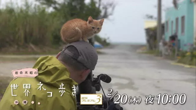 Weird things that only happen in asia - #8 