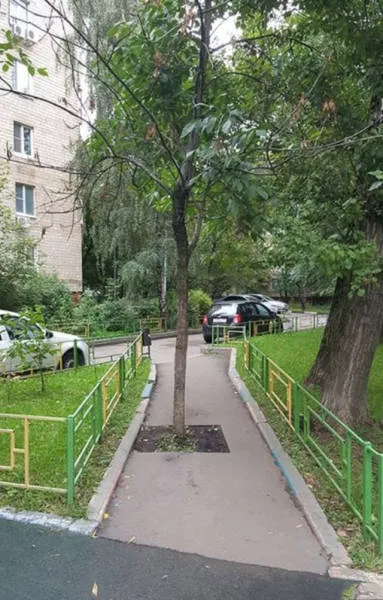 What happens in russia and nowhere else - #35 