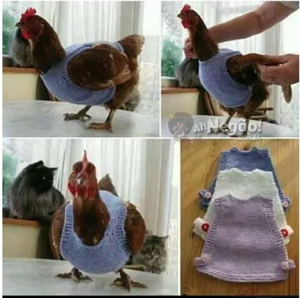 Picdump 395 - #7 