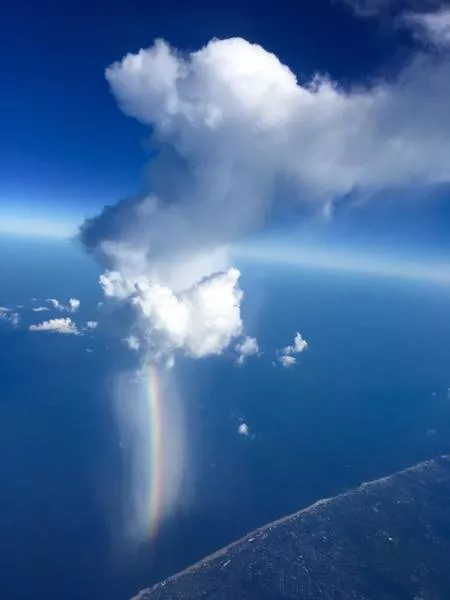 The worlds most fascinating pictures - #10 