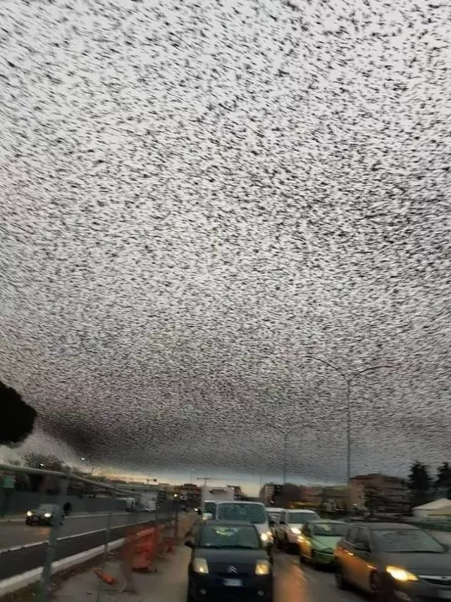 The worlds most fascinating pictures - #13 