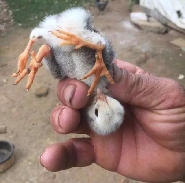 The worlds most fascinating pictures