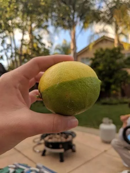 Les images les plus fascinantes du monde - #3 