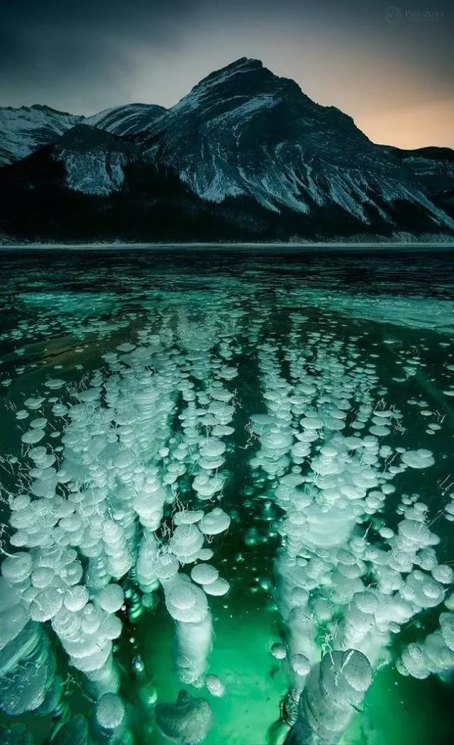 Les images les plus fascinantes du monde - #48 