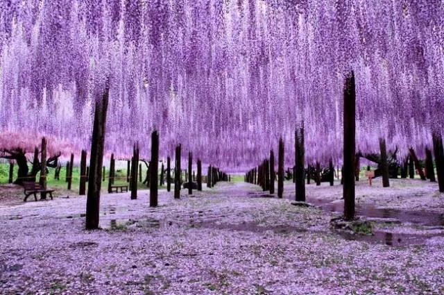 Les images les plus fascinantes du monde - #49 
