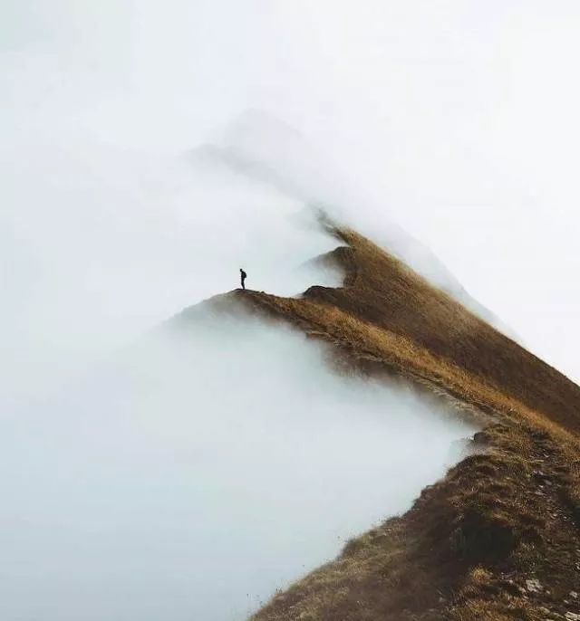 Les images les plus fascinantes du monde - #50 