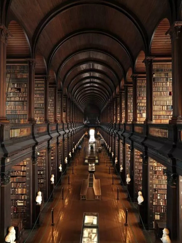 Les images les plus fascinantes du monde - #51 