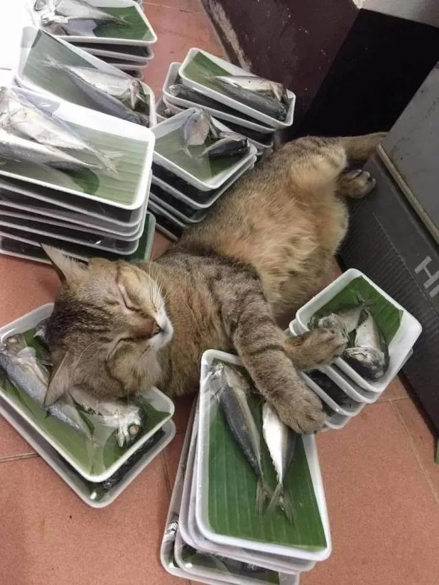 Picdump 396 - #21 