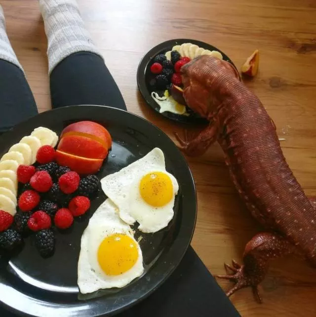 Picdump 396 - #37 