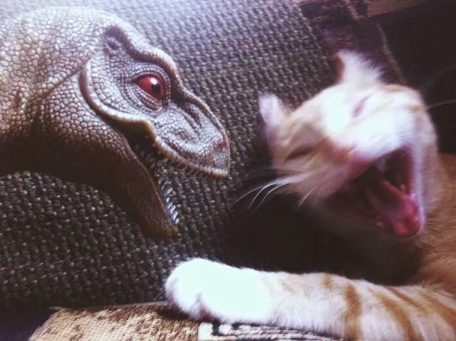 Picdump 396 - #49 