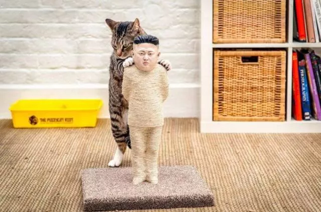 Picdump 396 - #60 