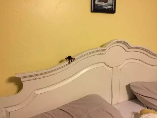Picdump 396 - #69 