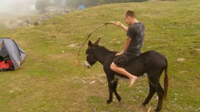 Picdump 396 - #73 