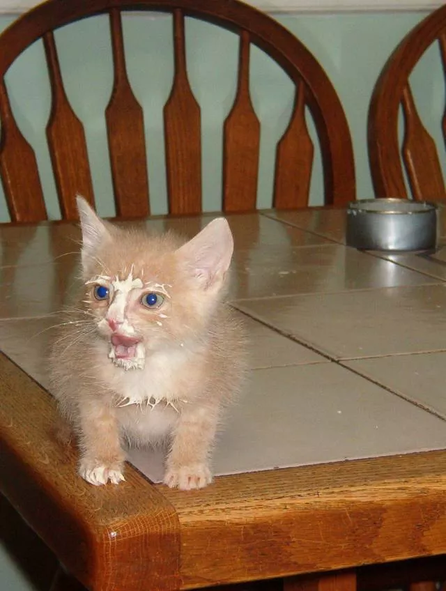 Picdump 396 - #97 