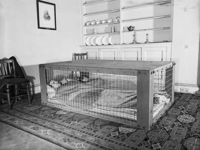 Mysterious photos from the past - #17 