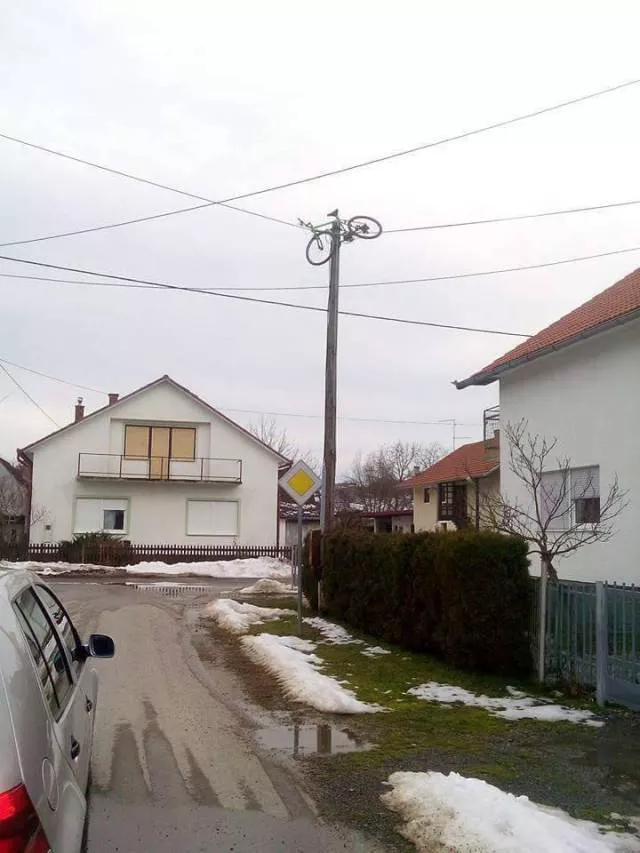 Picdump 398 - #35 