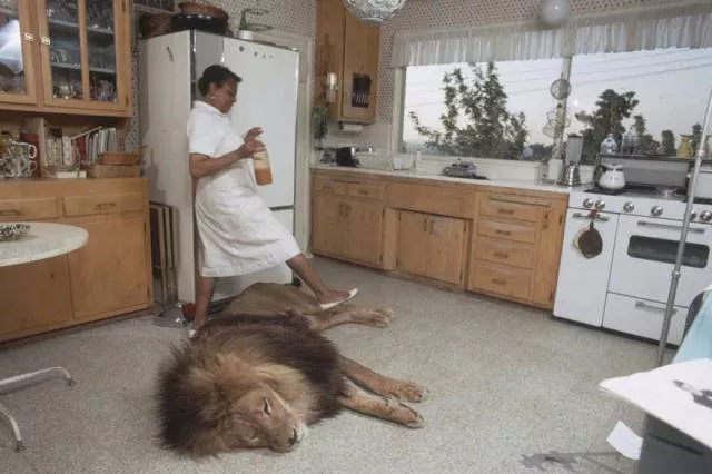 Picdump 398 - #48 