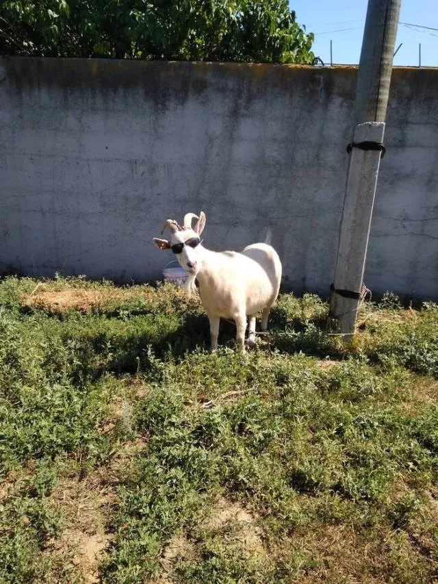 Picdump 398 - #8 