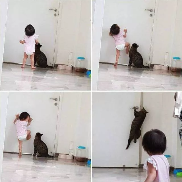Picdump 399 - #1 Picdump 399 - #1