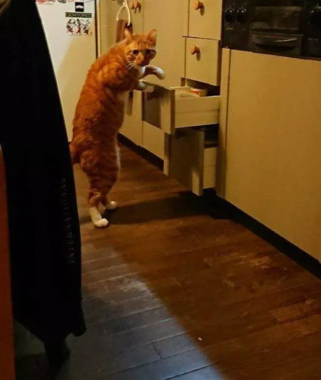 Picdump 399 - #7 Picdump 399 - #7