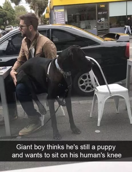 Picdump 400 - #12 