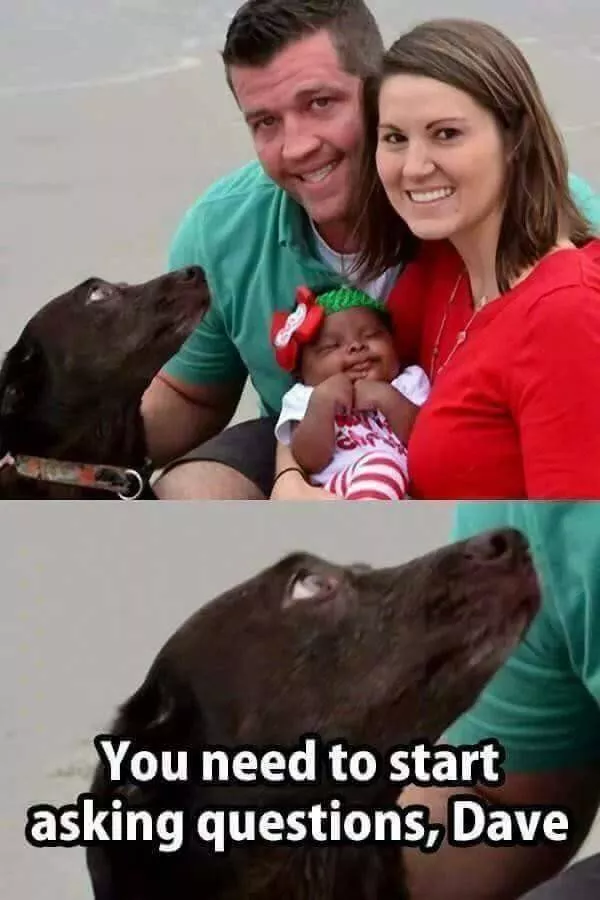 Picdump 400 - #38 