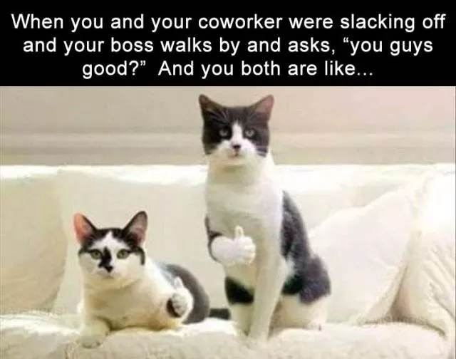 Picdump 400 - #46 