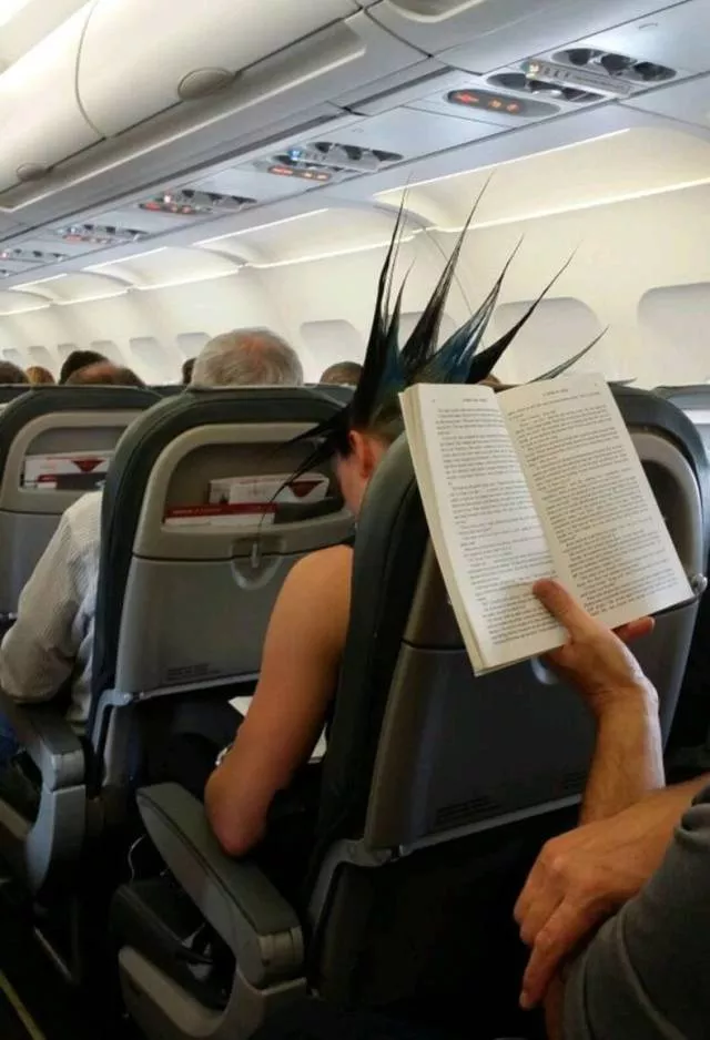 Picdump 401 - #23  Picdump 401 - #23