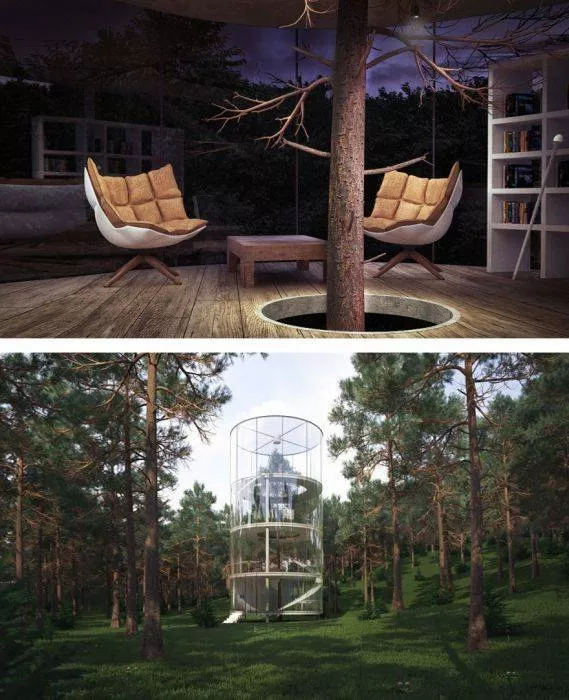 Trees and houses