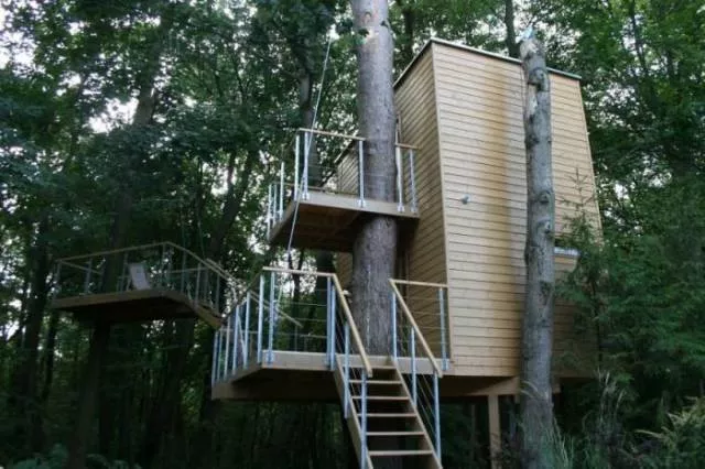 Trees and houses - #11 