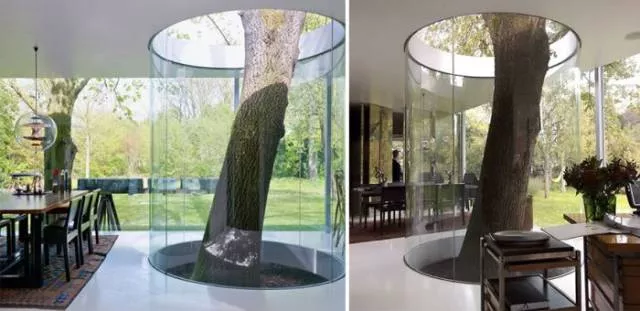 Des arbres et des maisons - #12 