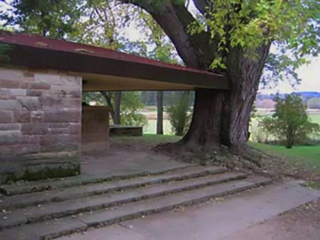 Trees and houses - #18 