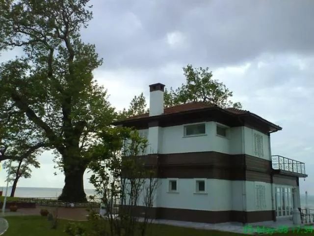 Des arbres et des maisons - #23 