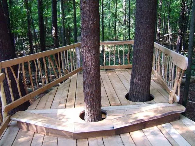 Trees and houses - #26 