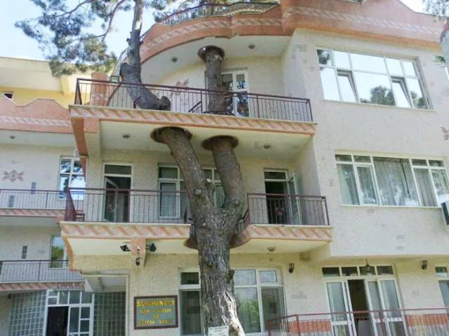Trees and houses - #3 