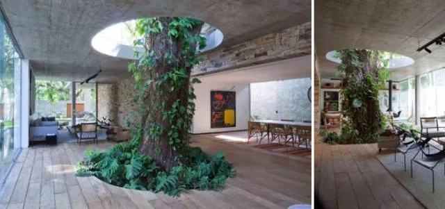 Des arbres et des maisons - #4 