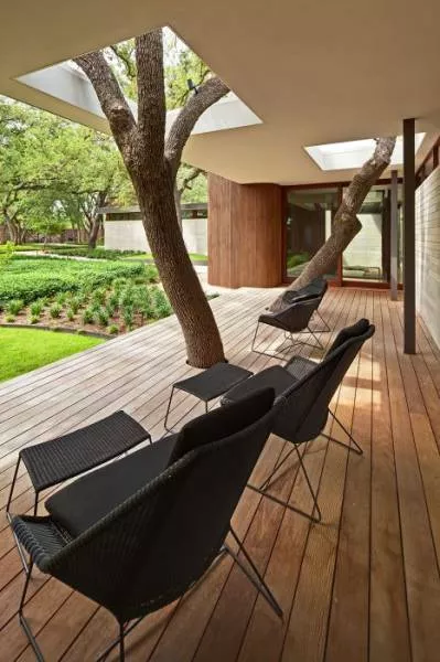 Trees and houses - #6 