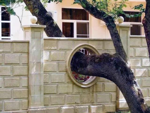 Trees and houses - #7 