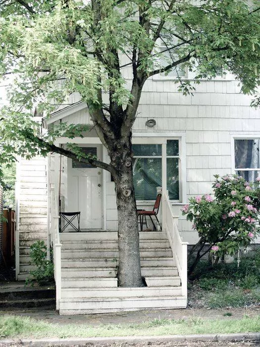 Trees and houses - #9 